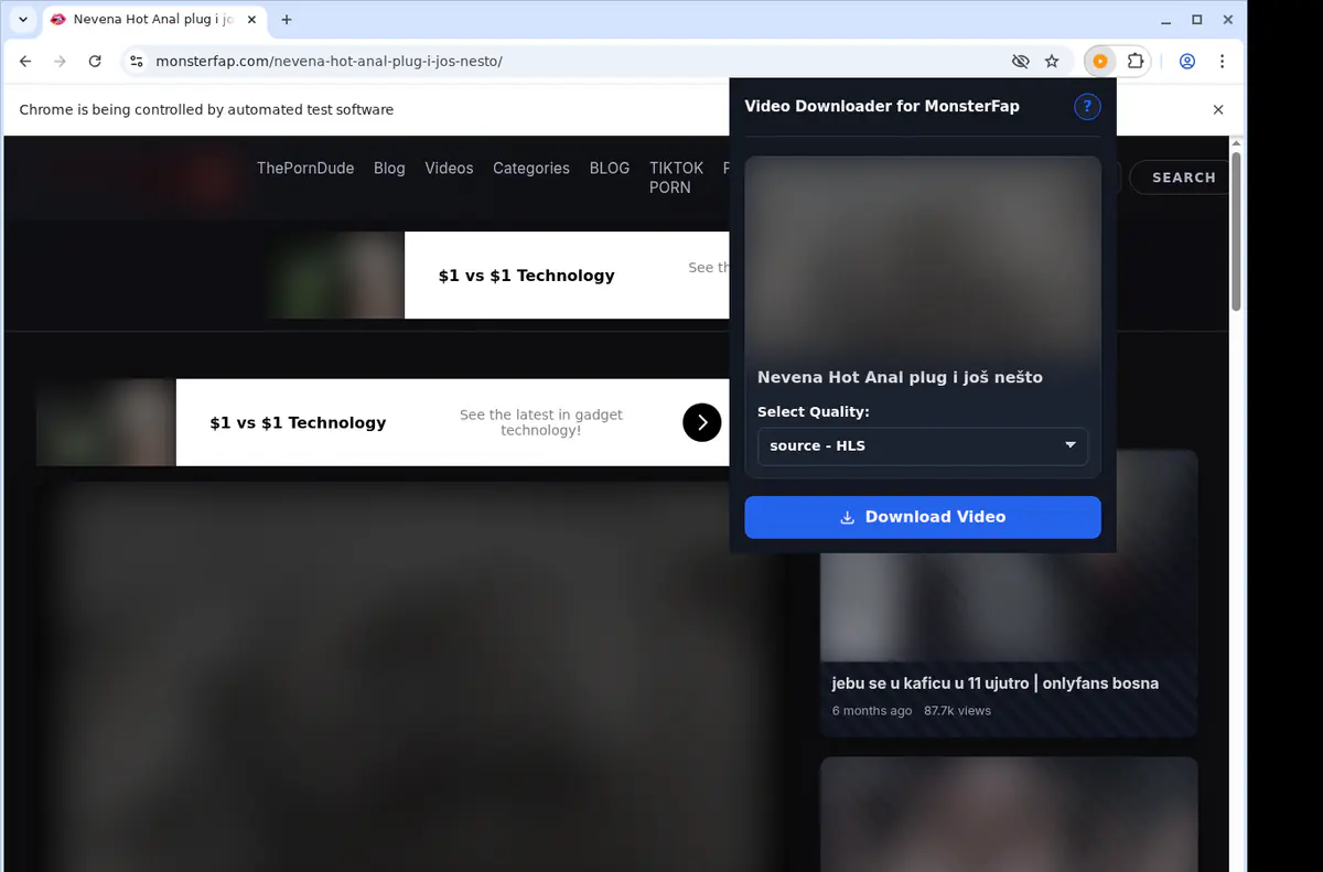 Monsterfap Video Downloader screenshot 3